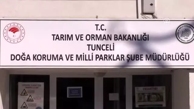 Vatandaşların bitkin halde bulduğu baykuş tedavi altına alındı Vatandaşların bitkin halde bulduğu baykuş tedavi altına alındı