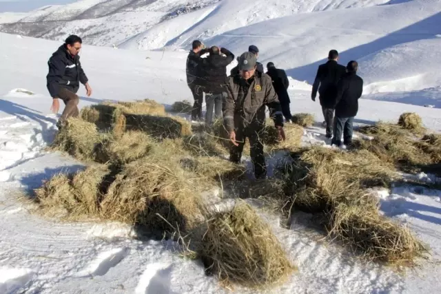 Yaban hayvanları için Emirdağları'na yem bırakıldı Yaban hayvanları için Emirdağları'na yem bırakıldı