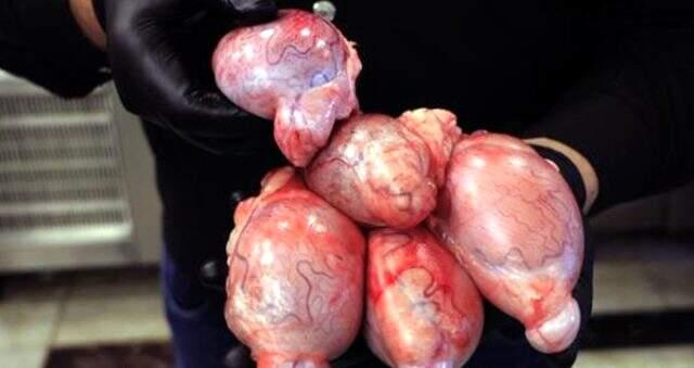 Adanıların yeni tercihi koç yumurtasından yapılan billur kebabı oldu