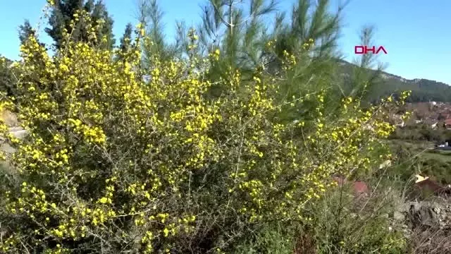 Antalya demre'de kış ortasında bahar havası Antalya demre'de kış ortasında bahar havası