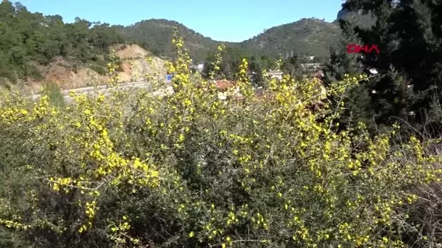 Antalya demre'de kış ortasında bahar havası Antalya demre'de kış ortasında bahar havası