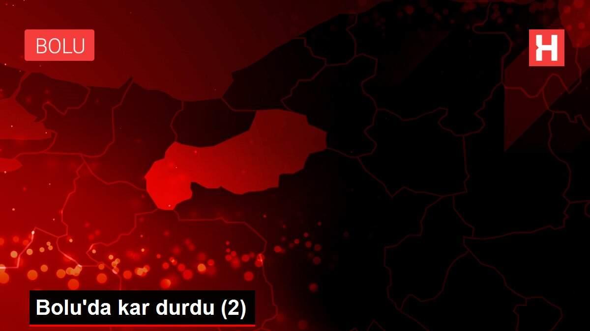 Bolu'da kar durdu (2)