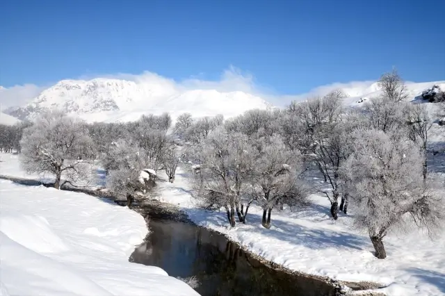 Doğu Anadolu'da kar yağışı ve soğuk hava
