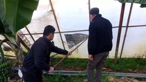 Fırtına, Anamur'da seraları vurdu