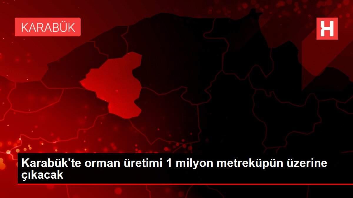 Karabük'te orman üretimi 1 milyon metreküpün üzerine çıkacak