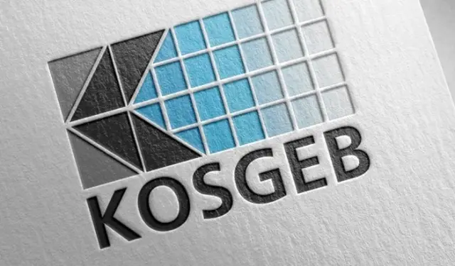 KOSGEB'den girişimci kadınlara 5 yılda 1 milyar liralık destek KOSGEB'den girişimci kadınlara 5 yılda 1 milyar liralık destek