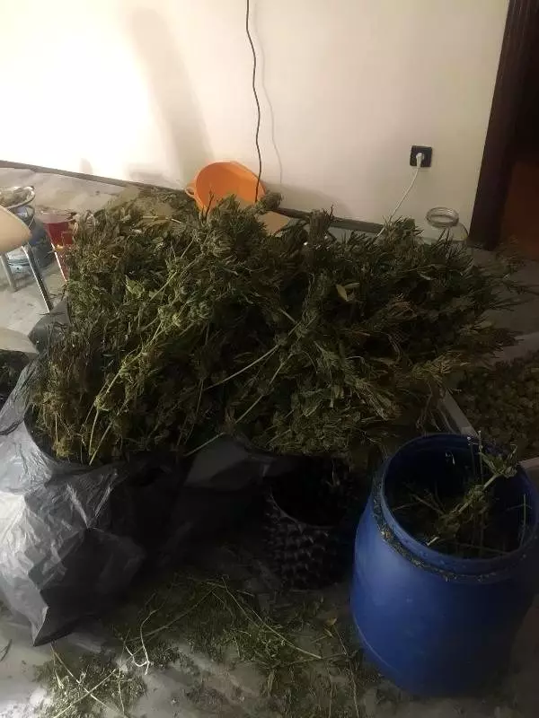 Maltepe�de hırsız giren ev uyuşturucu serası çıktı Haberler