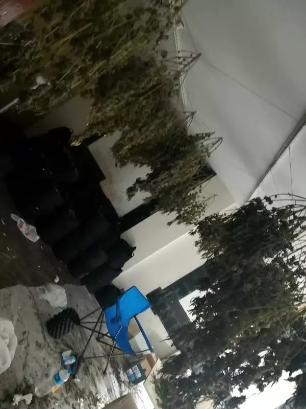 Maltepe�de hırsız giren ev uyuşturucu serası çıktı Haberler