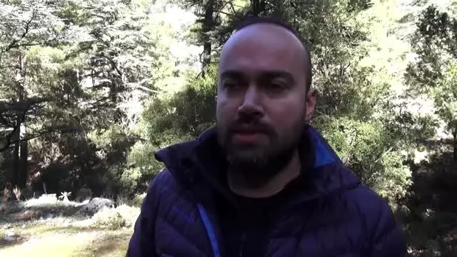 Muğla'da nesli tehlike altındaki 'Karakulaklar' fotokapanla görüntülendi Muğla'da nesli tehlike altındaki 'Karakulaklar' fotokapanla görüntülendi