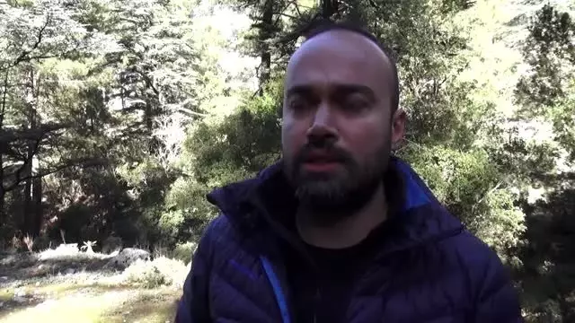 Muğla'da nesli tehlike altındaki 'Karakulaklar' fotokapanla görüntülendi Muğla'da nesli tehlike altındaki 'Karakulaklar' fotokapanla görüntülendi
