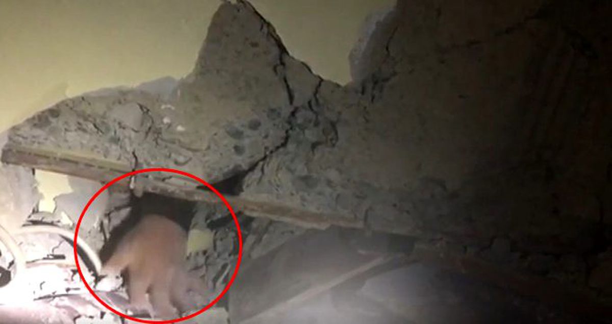 Elazığ depreminin simgesi Azize Çelik 17 saat sonra böyle kurtarıldı