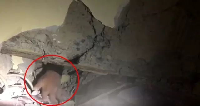 Elazığ depreminin simgesi Azize Çelik 17 saat sonra böyle kurtarıldı