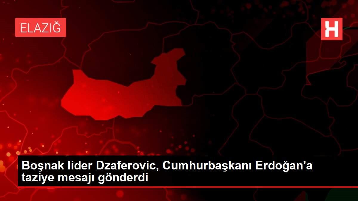 Boşnak lider Dzaferovic, Cumhurbaşkanı Erdoğan'a taziye mesajı gönderdi Boşnak lider Dzaferovic, Cumhurbaşkanı Erdoğan'a taziye mesajı gönderdi