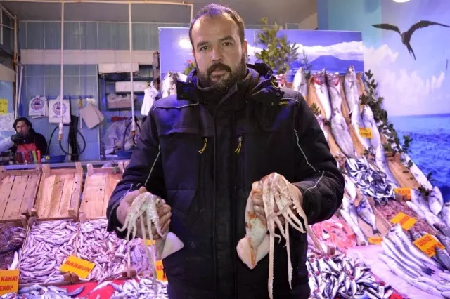 Bu deniz ürününü sadece bilenler alıyor Bu deniz ürününü sadece bilenler alıyor