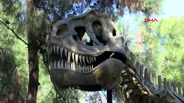 Dinoparkta sömestir yoğunluğu Dinoparkta sömestir yoğunluğu