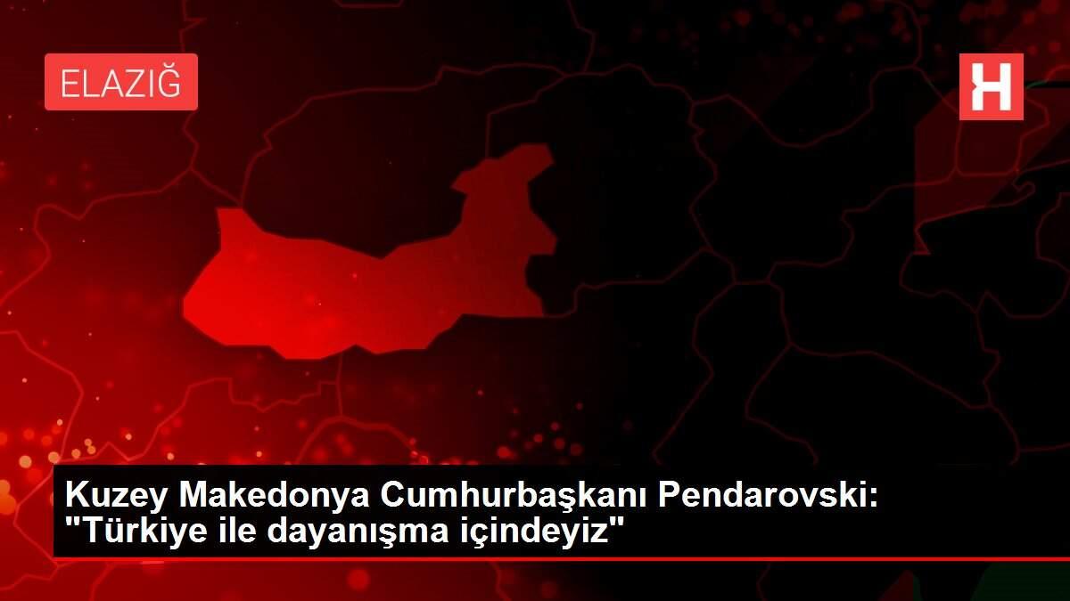 Kuzey Makedonya Cumhurbaşkanı Pendarovski: