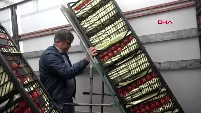 Antalya demre demre'den depremzedelere yardım eli Antalya demre demre'den depremzedelere yardım eli