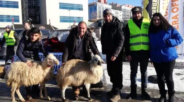 Elazığ'daki depremzedelere iki koyununu gönderdi