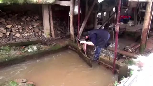 Köydeki tek değirmen 3 asırdır dönüyor