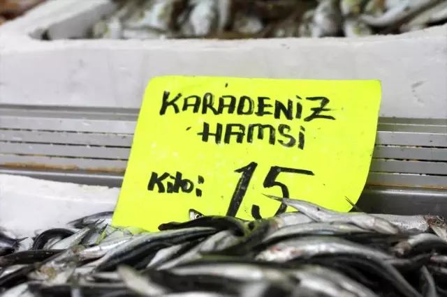 Havaların ısınmasıyla hamsinin fiyatı yüzde 25 düştü.