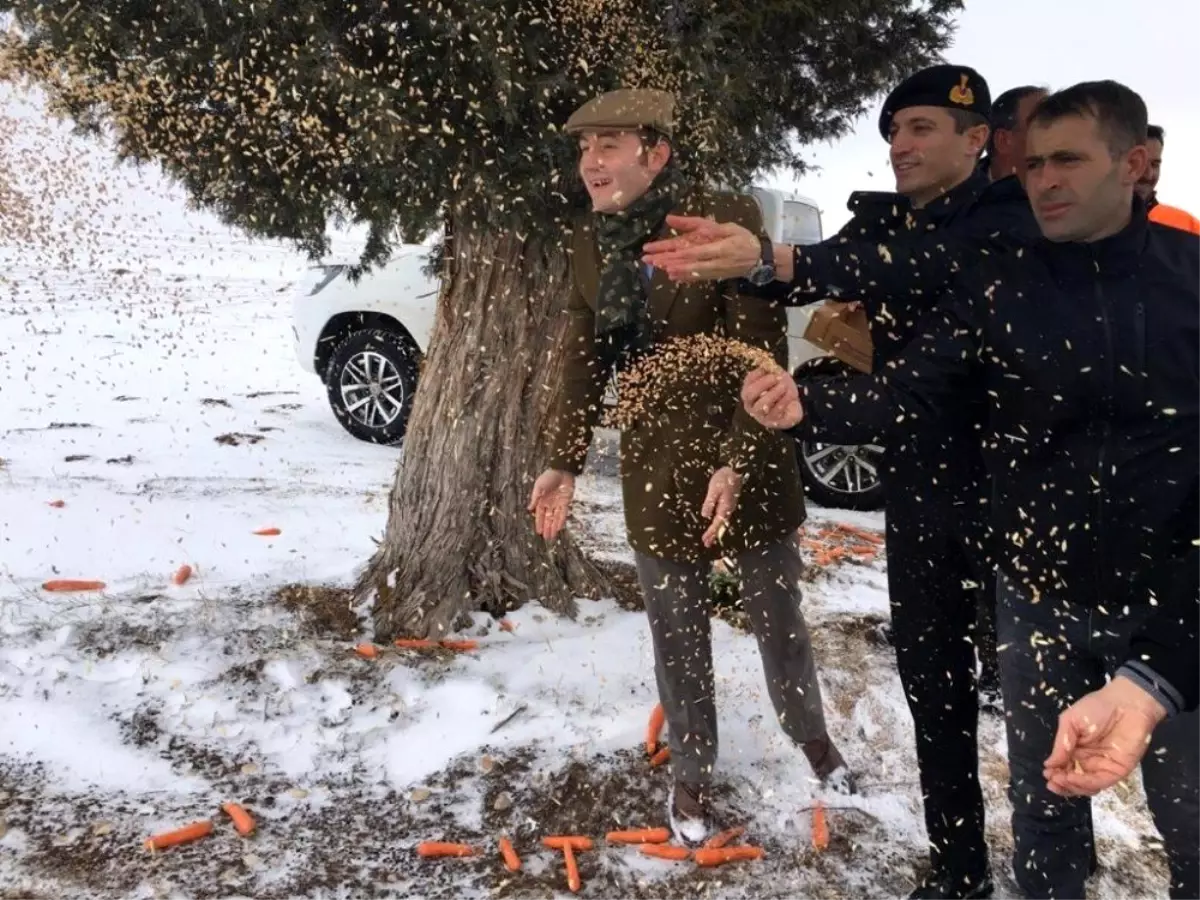 Kayseri'de yaban hayatına tam destek