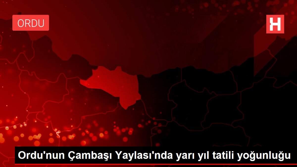 Ordu'nun Çambaşı Yaylası'nda yarı yıl tatili yoğunluğu