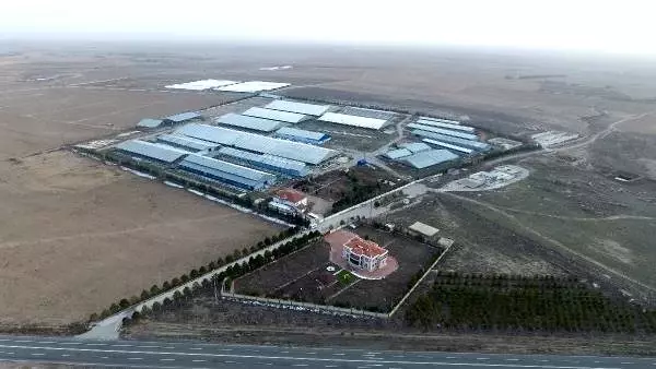 Sütbank, davası başlıyor Sütbank, davası başlıyor