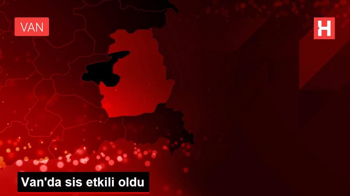 Van'da sis etkili oldu