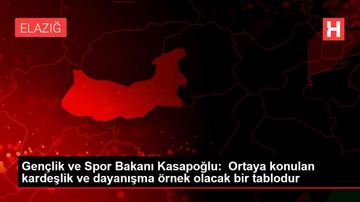 Gençlik ve Spor Bakanı Kasapoğlu: Ortaya konulan kardeşlik ve dayanışma örnek olacak bir tablodur
