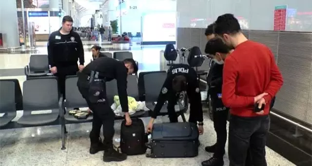 İstanbul Havalimanı'nda yakalanan kuş kaçakçısına 95 bin lira ceza kesildi!