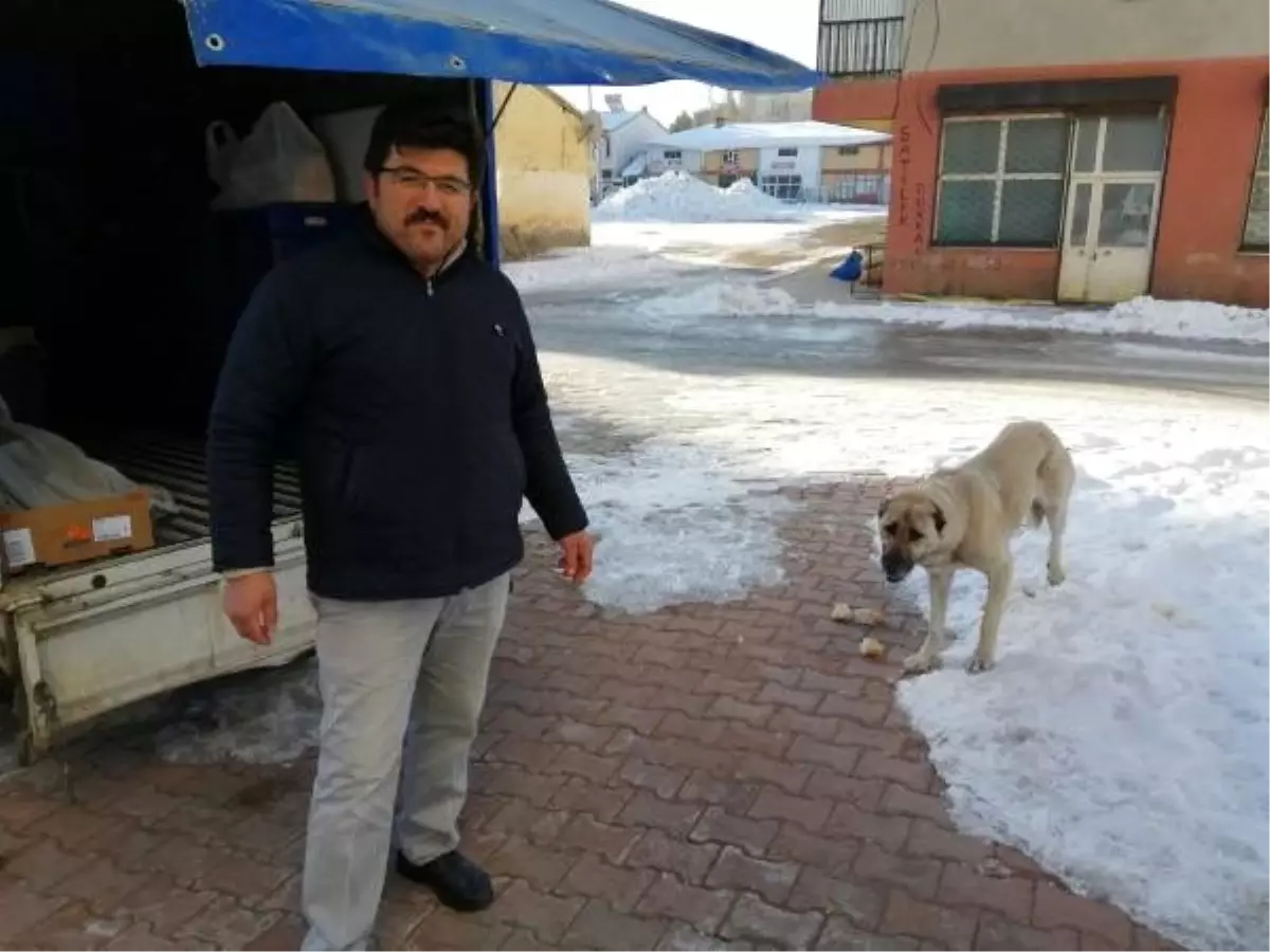 ekmek alan sevimli köpek, kameraya yakalandı Haberler