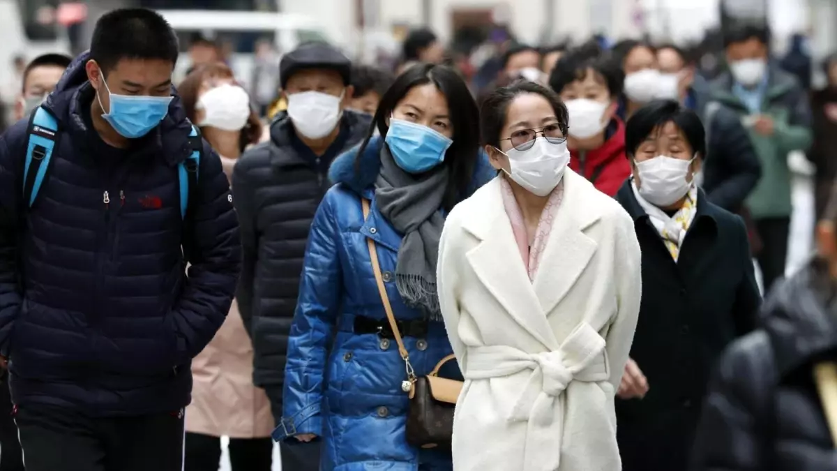 koronavirus ile ilgili görsel sonucu