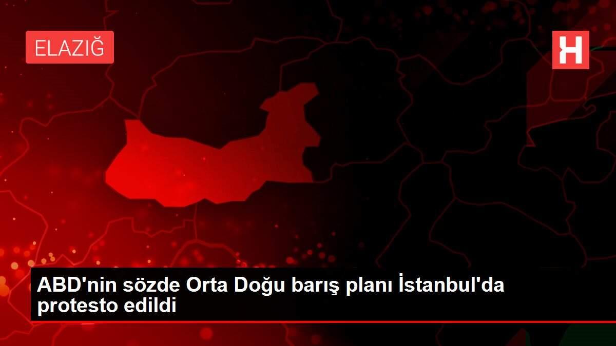 ABD'nin sözde Orta Doğu barış planı İstanbul'da protesto edildi