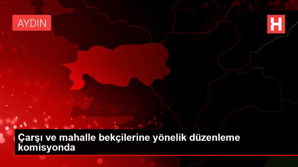 Çarşı ve mahalle bekçilerine yönelik düzenleme komisyonda Çarşı ve mahalle bekçilerine yönelik düzenleme komisyonda