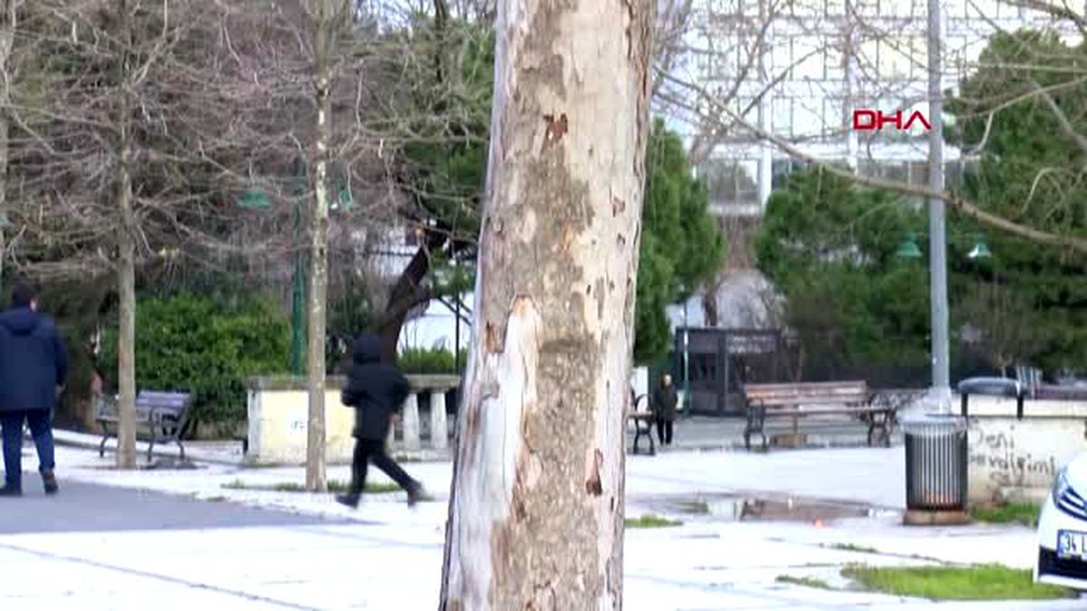 Gezi parkı'nda 39 ağaç sökülerek yerine yenileri dikilecek
