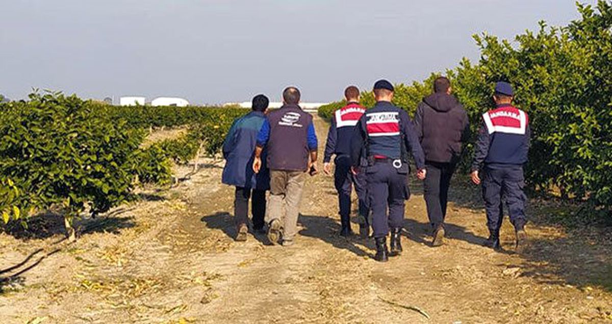 Mersin'deki 'füze düştü' iddiası jandarmayı alarma geçirdi