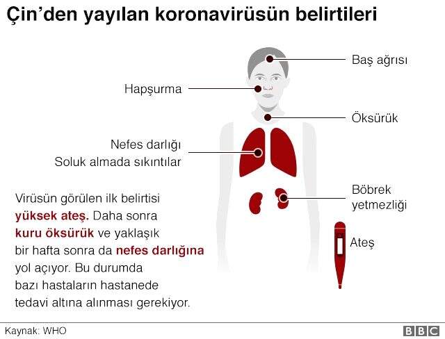 Tüm dünyayı korkutan koronavirüs salgınında can kaybı 132'ye yükseldi