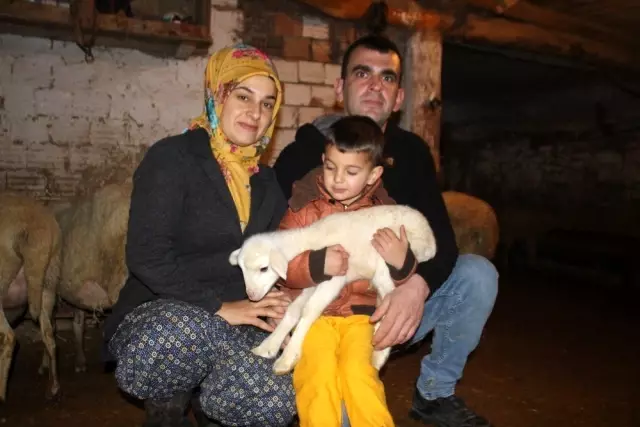 Genç kadın, 19 yaşında aldığı devlet desteğiyle 3 yıldır hayvancılık yapıyor