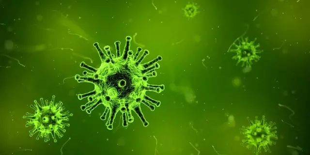 Lassa virüsü nedir? Lassa ateşi virüsü nasıl bulaşır, belirtileri nelerdir, nasıl korunulur ve nasıl tedavi edilir?