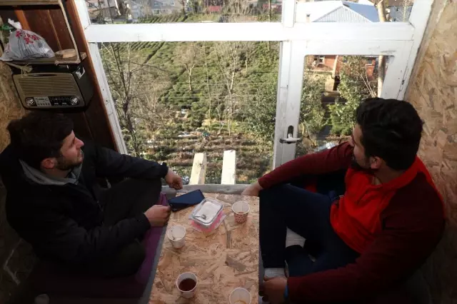Rizeli genç 8 metre yüksekliğindeki kiraz ağacına kulübe yaptı Rizeli genç 8 metre yüksekliğindeki kiraz ağacına kulübe yaptı