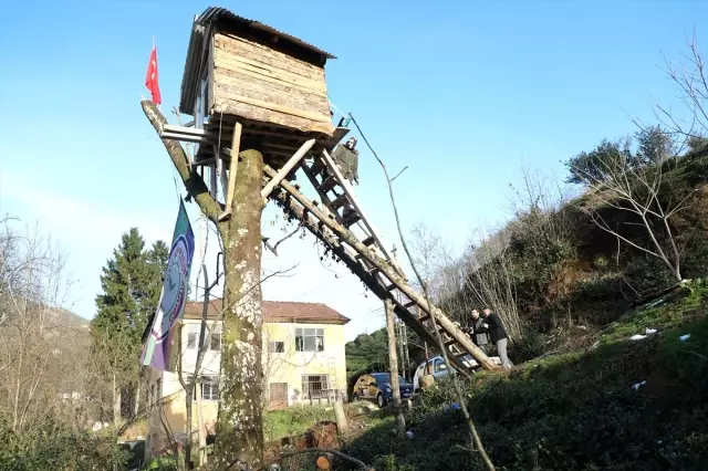 Rizeli genç 8 metre yüksekliğindeki kiraz ağacına kulübe yaptı Rizeli genç 8 metre yüksekliğindeki kiraz ağacına kulübe yaptı