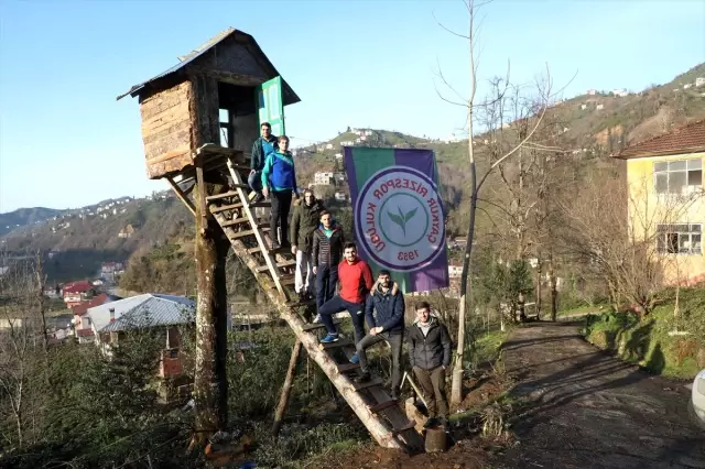 Rizeli genç 8 metre yüksekliğindeki kiraz ağacına kulübe yaptı Rizeli genç 8 metre yüksekliğindeki kiraz ağacına kulübe yaptı