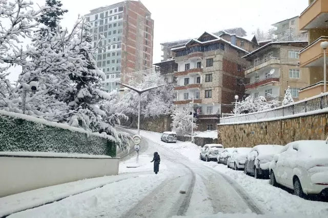 Gümüşhane'de kar yağışı