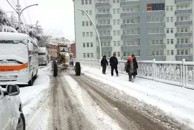 Gümüşhane'de kar yağışı