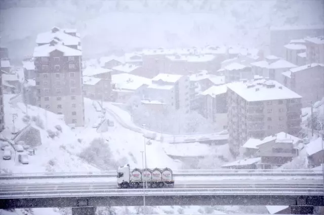 Gümüşhane, Giresun ve Ordu'da kar yağışı etkili oluyor