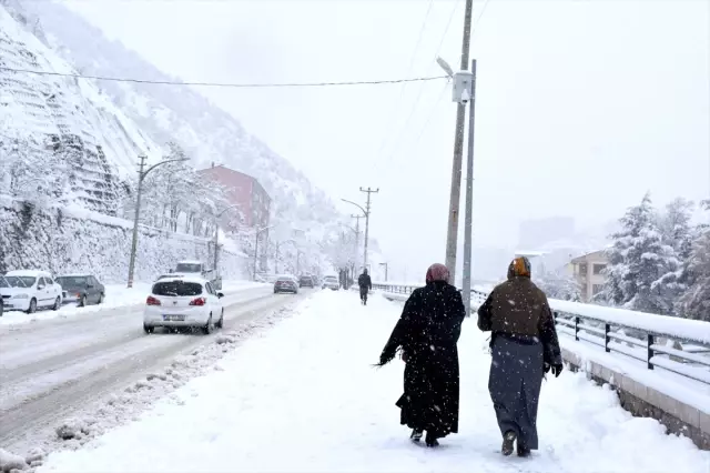 Gümüşhane, Giresun ve Ordu'da kar yağışı etkili oluyor