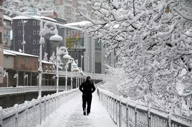 Gümüşhane, Giresun ve Ordu'da kar yağışı etkili oluyor