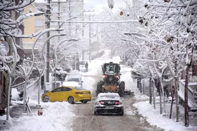 Gümüşhane, Giresun ve Ordu'da kar yağışı etkili oluyor