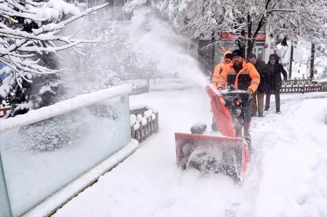 Gümüşhane, Giresun ve Ordu'da kar yağışı etkili oluyor