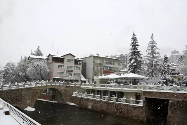 Gümüşhane, Giresun ve Ordu'da kar yağışı etkili oluyor
